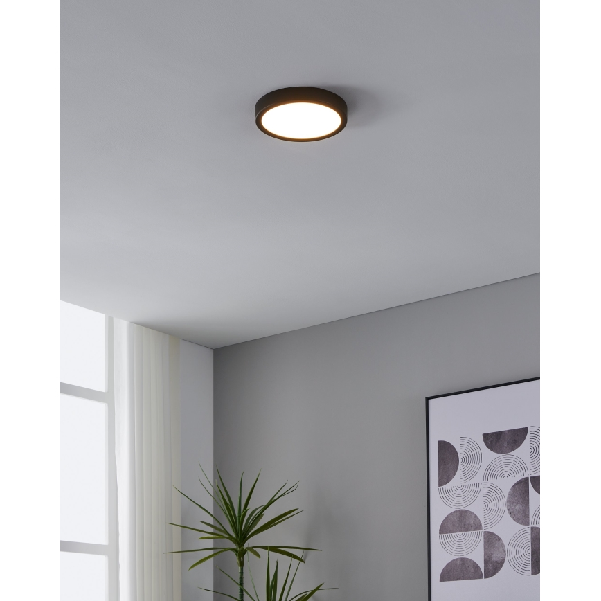 Eglo - LED Stropna svetilka s senzorjem LED/17W/230V 3000K črna