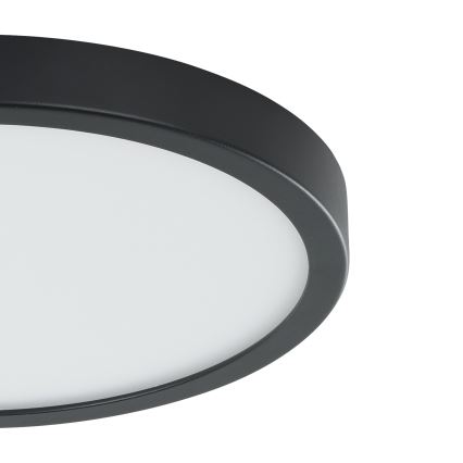 Eglo - LED Stropna svetilka s senzorjem LED/20,5W/230V 3000K črna