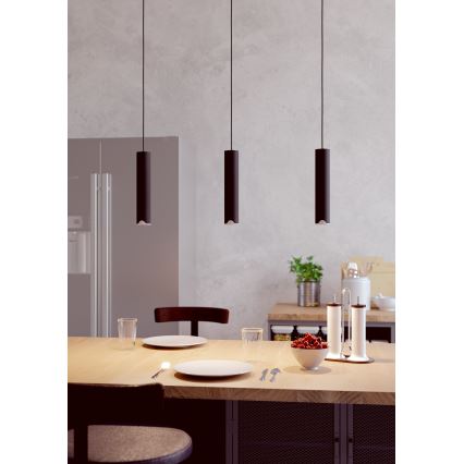 Eglo - LED RGBW Zatemnitveni lestenec na vrvici 3xLED/3,7W/230V 2700-6500K črna