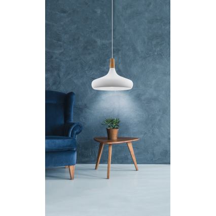 Eglo - Lestenec na vrvici 1xE27/40W/230V pr. 40 cm bela - FSC certifikat