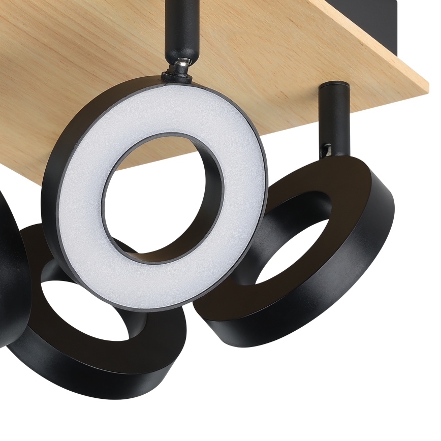 Eglo - LED točkovna svetilka 4xLED/4,2W/230V črna/rjava