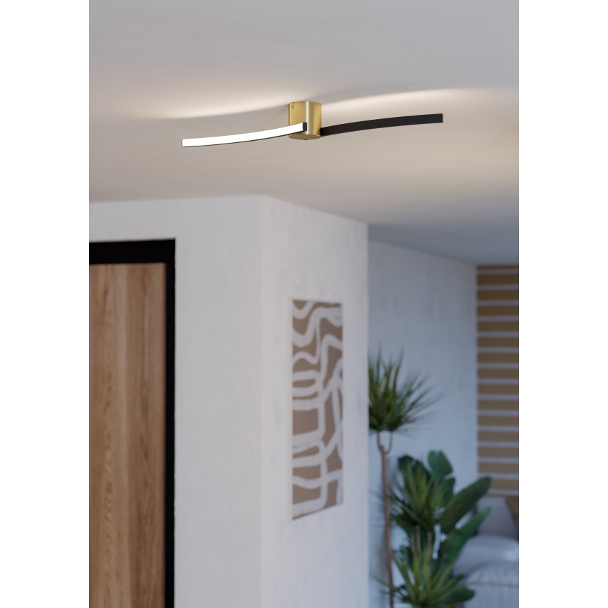 Eglo - LED Stropna svetilka LED/12W/230V 4000K črna