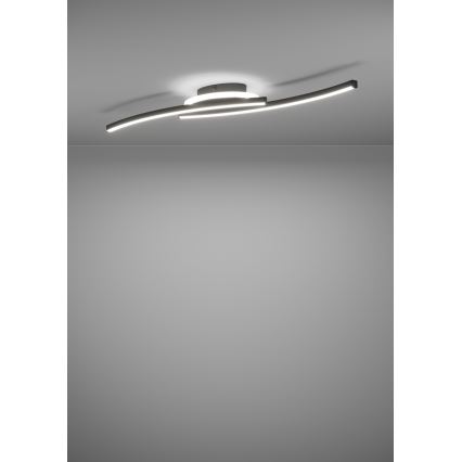 Eglo - LED Stropna svetilka LED/12W/230V 4000K črna
