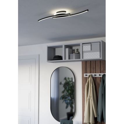 Eglo - LED Stropna svetilka LED/12W/230V 4000K črna