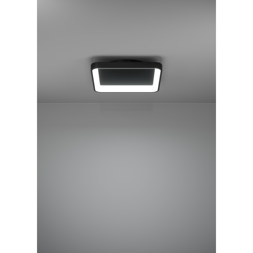 Eglo - LED Zatemnitvena stropna svetilka LED/12W/230V 2700-6500K črna + Daljinski upravljalnik