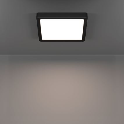 Eglo - LED stropna svetilka LED/10,5W/230V 2700/4000/6500K 22x22cm črna