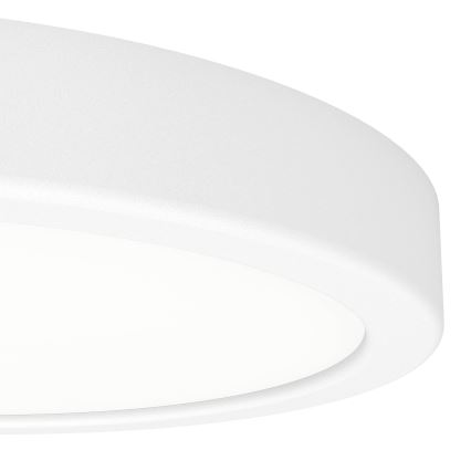 Eglo - LED stropna svetilka LED/11,5W/230V 2700/4000/6500K premer 21,1 cm bela