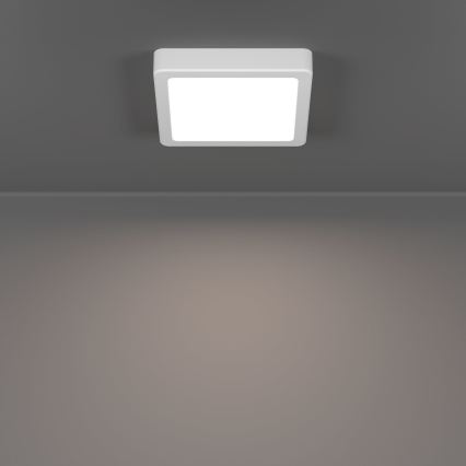 Eglo - LED stropna svetilka LED/7W/230V 2700/4000/6500K 15x15 cm bela