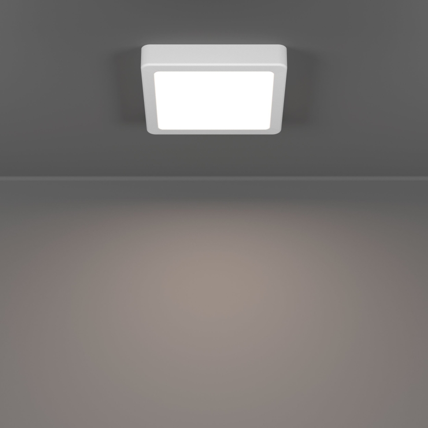 Eglo - LED stropna svetilka LED/7W/230V 2700/4000/6500K 15x15 cm bela