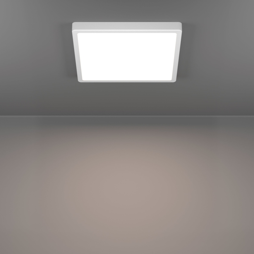 Eglo - LED stropna svetilka LED/13W/230V 2700/4000/6500K 29x29 cm bela