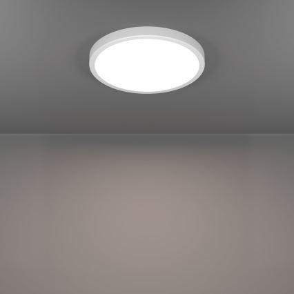 Eglo - LED kopalniška stropna svetilka LED/14,2W/230V 2700/4000/6500K premer 27,8 cm IP44 bela