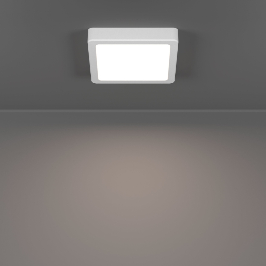 Eglo - LED stropna svetilka za kopalnico LED/7W/230V 15x15 cm IP44 bela