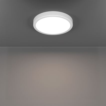Eglo - LED RGBW zatemnljivo kopalniško stropno svetilo LED/11,2W/230V 2700-6500K premer 21,1 cm IP44 bela