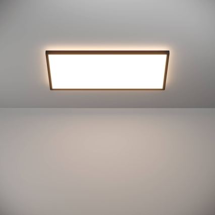 Eglo - LED Kopalniška stropna svetilka LED/17,2W/230V 2700/4000/6500K 30x57 cm IP44 črna