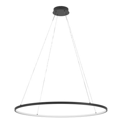 Eglo - LED Zatemnitveni lestenec na vrvici LED/40W/230V 2700-6500K črna + Daljinski upravljalnik