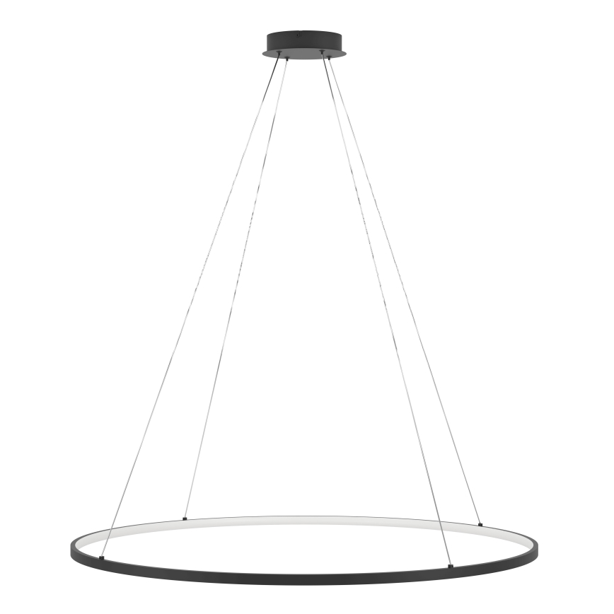 Eglo - LED Zatemnitveni lestenec na vrvici LED/40W/230V 2700-6500K črna + Daljinski upravljalnik