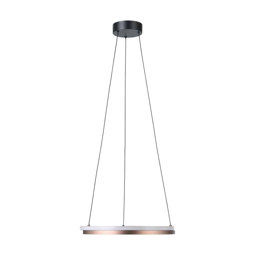 Eglo - LED zatemljiv lestenec na kablu 2xLED/20W/230V 2700-6500K premer 48 cm bronasta + daljinski upravljalnik