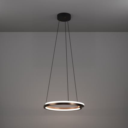 Eglo - LED zatemljiv lestenec na kablu 2xLED/20W/230V 2700-6500K premer 48 cm bronasta + daljinski upravljalnik