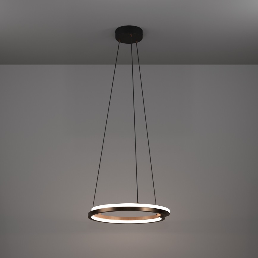 Eglo - LED zatemljiv lestenec na kablu 2xLED/20W/230V 2700-6500K premer 48 cm bronasta + daljinski upravljalnik
