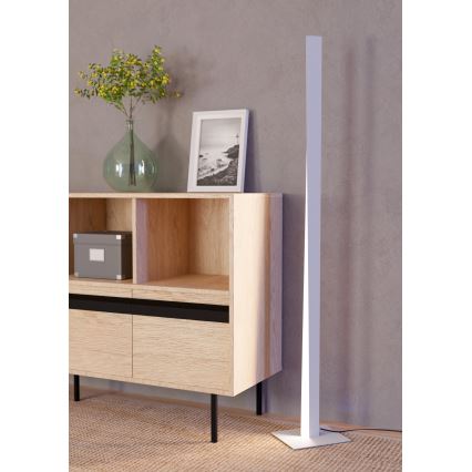 Eglo - LED RGBW talna svetilka z možnostjo zatemnitve LED/10,5W/230V + LED/15,2W 2700-6500K siva