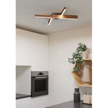 Eglo - LED RGBW Zatemnljivo stropno svetilo 2xLED/18W/230V 2700-6500K bakrena/črna