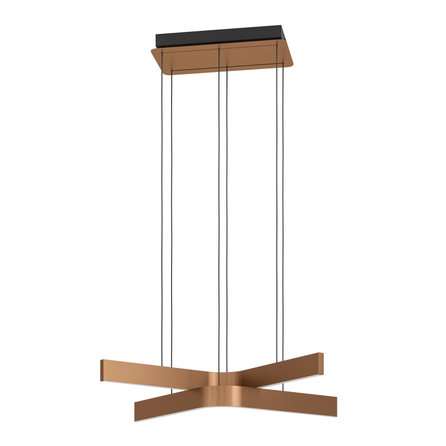 Eglo - LED RGBW zatemnjevalna viseča svetilka na kablu 2xLED/18W/230V medena/črna