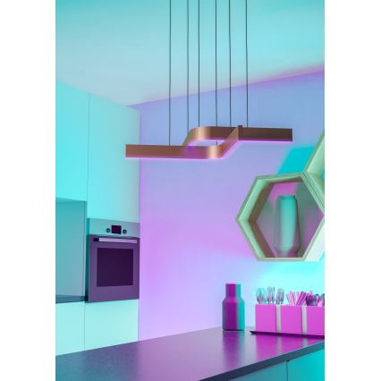 Eglo - LED RGBW zatemnjevalna viseča svetilka na kablu 2xLED/18W/230V medena/črna