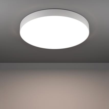 Eglo - LED RGBW zatemnljivo stropno svetilo LED/36,5W/230V 2700-6500K premer 69 cm belo