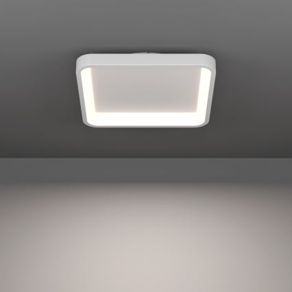 Eglo - LED RGBW stropna svetilka z možnostjo zatemnitve LED/20W/230V 2700-6500K 35x35 cm bela