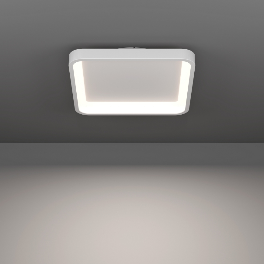 Eglo - LED RGBW stropna svetilka z možnostjo zatemnitve LED/20W/230V 2700-6500K 35x35 cm bela