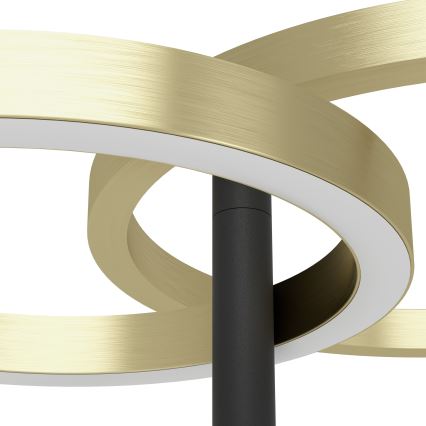 Eglo - zatemnjiva LED talna svetilka LED/16W/230V + LED/12W zlata/črna