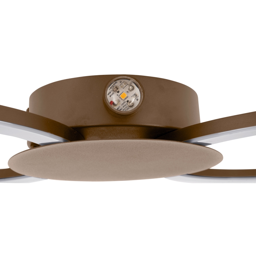 Eglo - LED stenska svetilka LED/20W/230V + LED/0,91W bežna