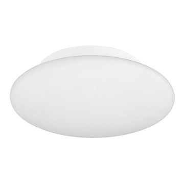 Eglo 91685 - LED kopalniška stropna svetilka BARI 1 LED/18W/230V IP44