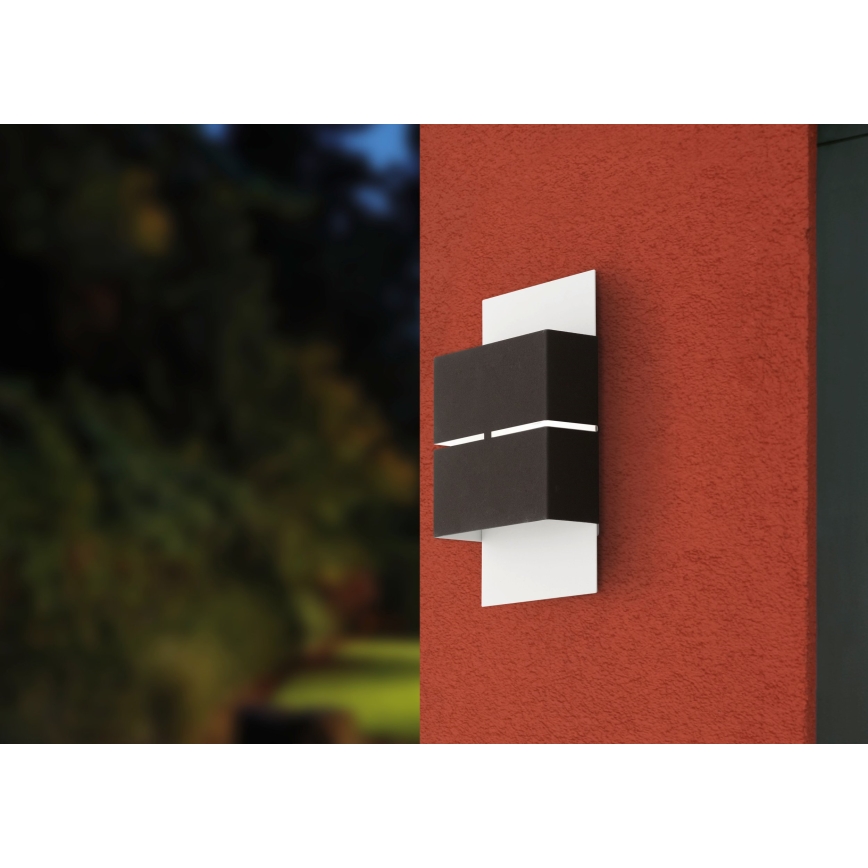 Eglo - LED zunanja razsvetljava 2xLED/2,5W/230V IP44