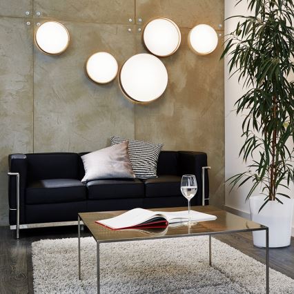 Eglo - LED stropna svetilka LED/12W/230V