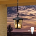 Eglo 93406 - LED zunanji lestenec ALORIA 1xE27/8,5W/230V IP44