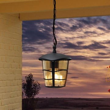 Eglo 93406 - LED zunanji lestenec ALORIA 1xE27/8,5W/230V IP44