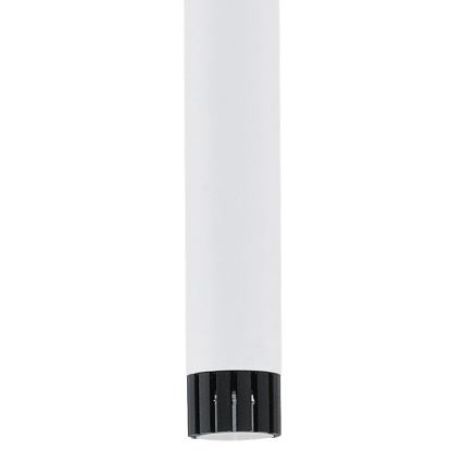 Eglo 93797 - LED viseča svetilka RAPARO 4xLED/5W/230V