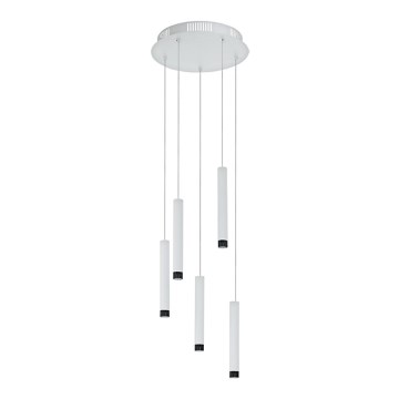 Eglo 93798 - LED viseča svetilka RAPARO 5xLED/5W/230V