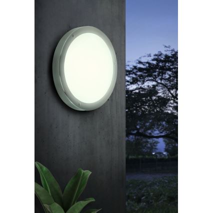 Eglo - LED zunanja razsvetljava 3xLED2,5W/230V IP44