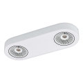 Eglo 94176 - LED Reflektor MONTALE 2xLED/5,4W/230V