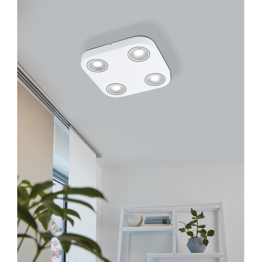 Eglo 94178 - LED Reflektor MONTALE 4xLED/5,4W/230V