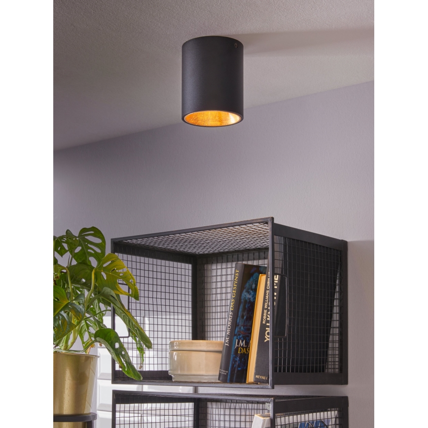 Eglo - LED stropna svetilka LED/3,3W/230V