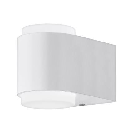 Eglo 95077 - Zunanja stenska svetilka BRIONES 2xLED/3W/230V IP44