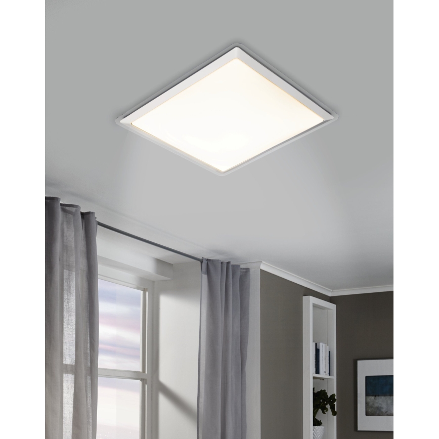 Eglo - LED stropna svetilka LED/24W/230V
