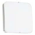 Eglo 95967 - LED stropna svetilka CUPELLA LED/11W/230V