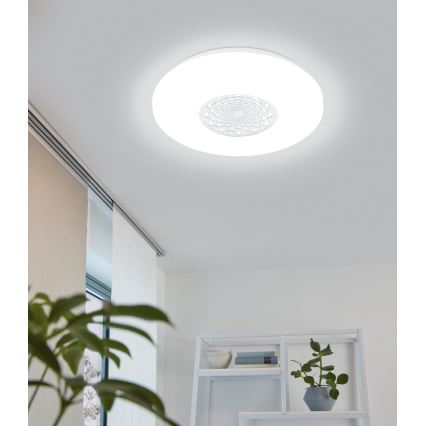 Eglo - LED stropna svetilka LED/24W/230V