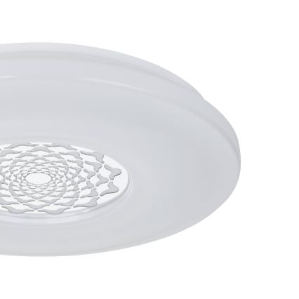 Eglo - LED stropna svetilka LED/24W/230V