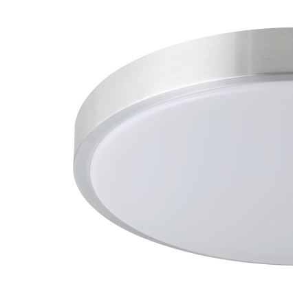 Eglo - LED stropna svetilka LED/24W/230V