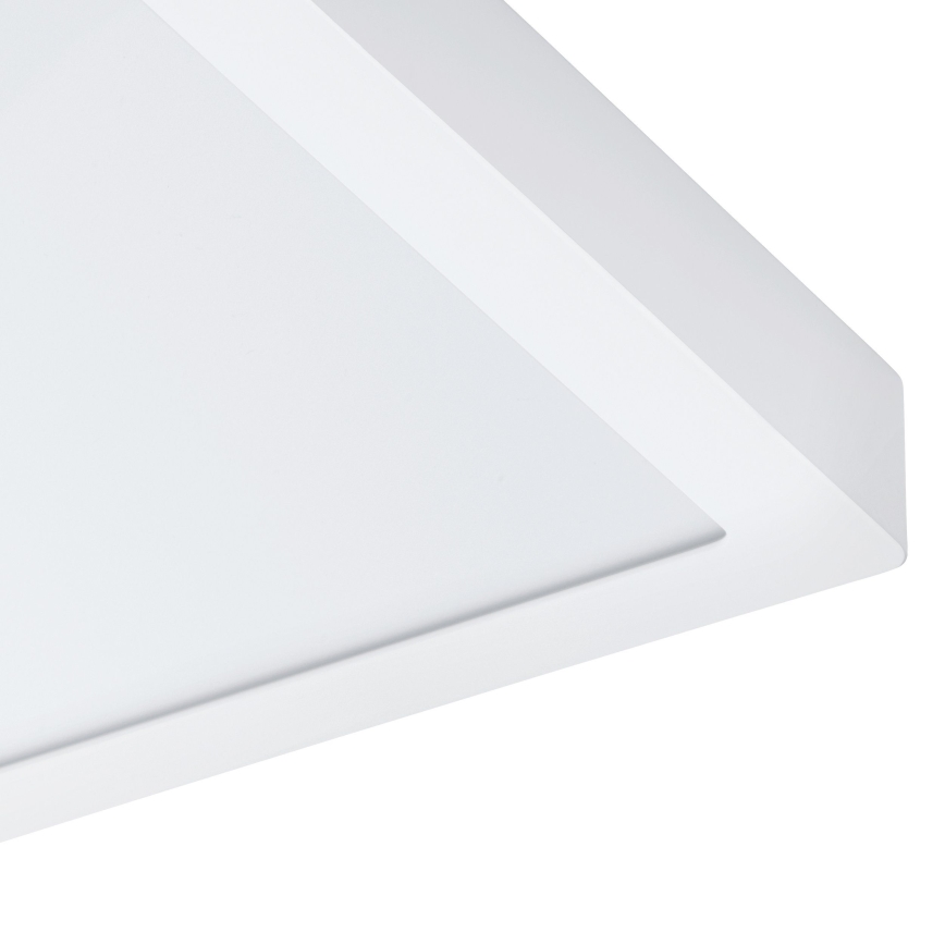 Eglo 96169 - LED Kopalniška stropna svetilka FUEVA 1 LED/22W/230V IP44